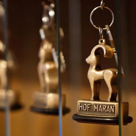 فندق Golf- & Hof Maran 4*